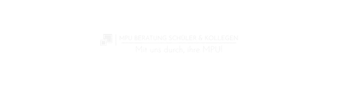 Fahrschule Logo 3